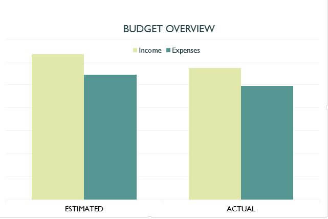3 Types of Government Budget Balances Explained