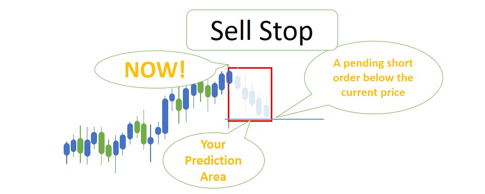 types-of-forex-orders-fully-explained-srading