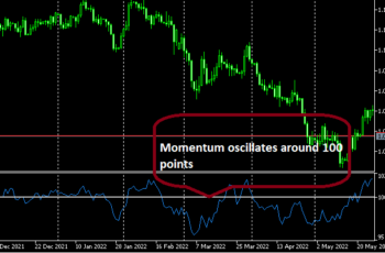 Momentum Indicator: Calculation and How to Trade