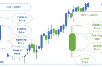 3 Most Popular Types of Charts in the Stock Market & FX