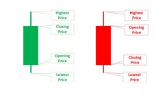 Candlestick Patterns: Types & How to Use Them