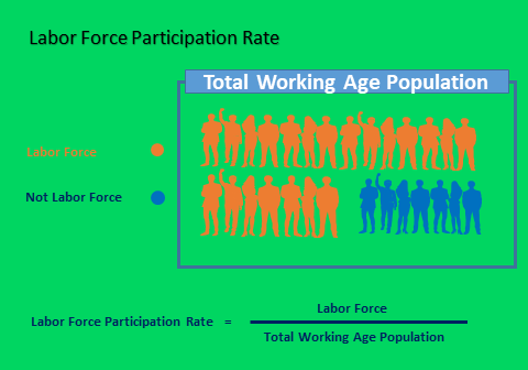 labor force participation essay